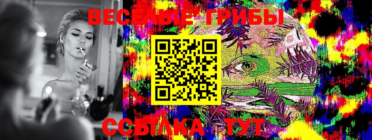 продажа наркотиков  Вход с VPN  Псилоцибиновые грибы Magic Shrooms  Назарово  Псилоцибиновые грибы Cubensis 
