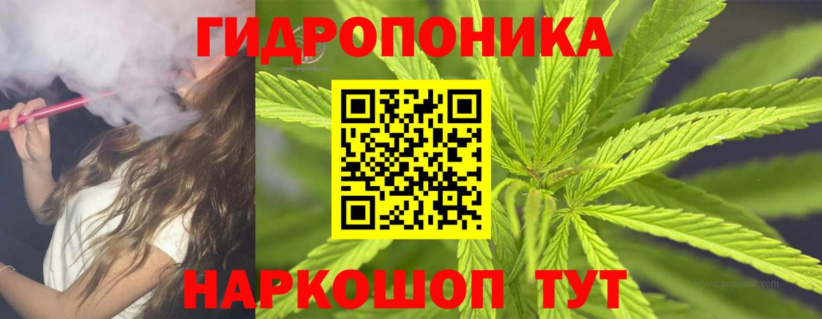 Марихуана ГИДРОПОН  Марихуана сатива  Назарово  Вход с VPN  Марихуана Amnesia  Конопля Ganja 